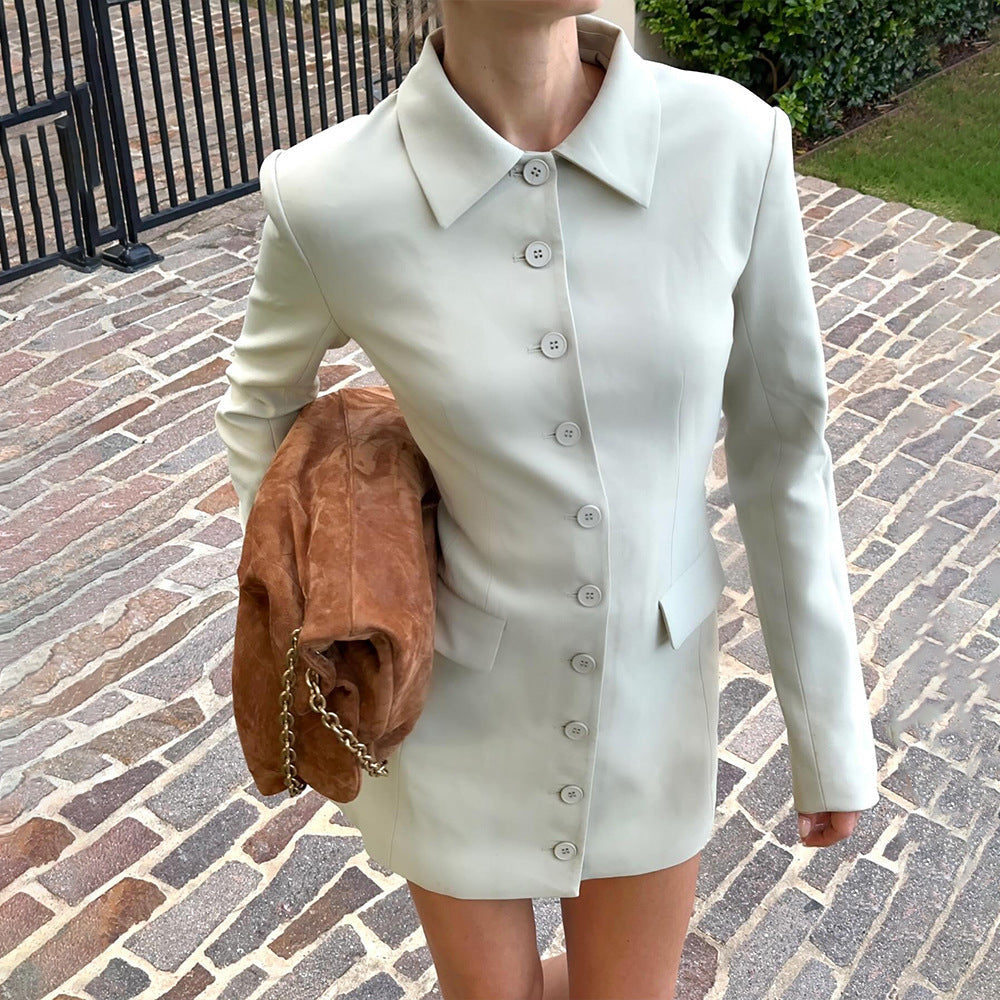 Slim Lapel Dress