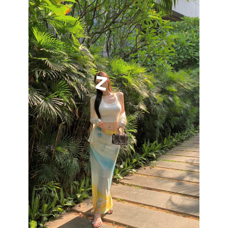 High Waist Niche Artistic Long  Printed Skirt For Women