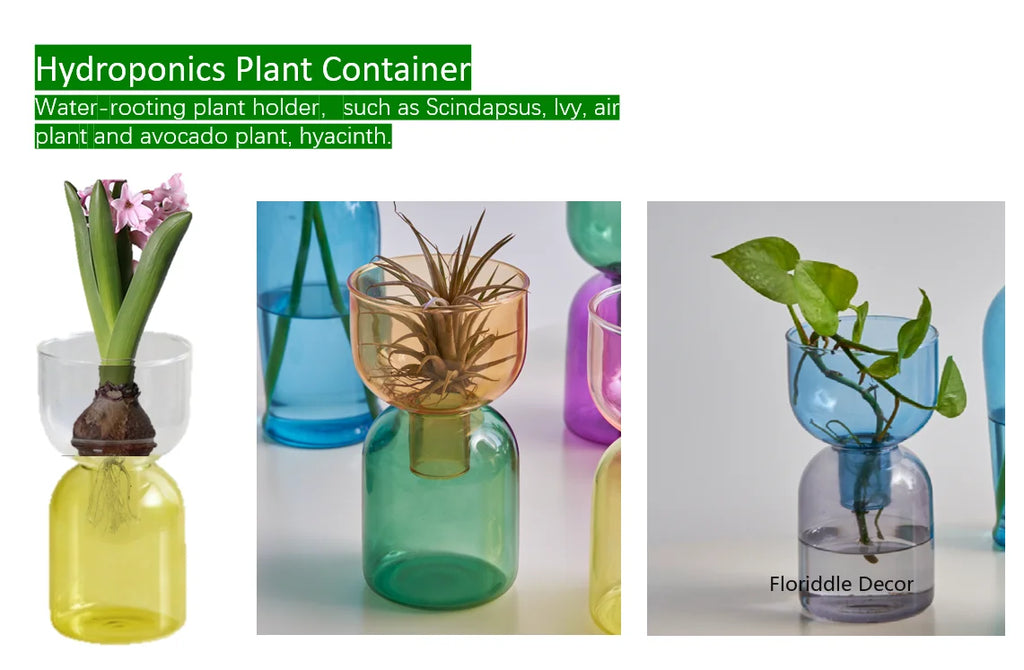 Set Mini Vases Terrarium Hydroponic Plant Pot Glass Vase