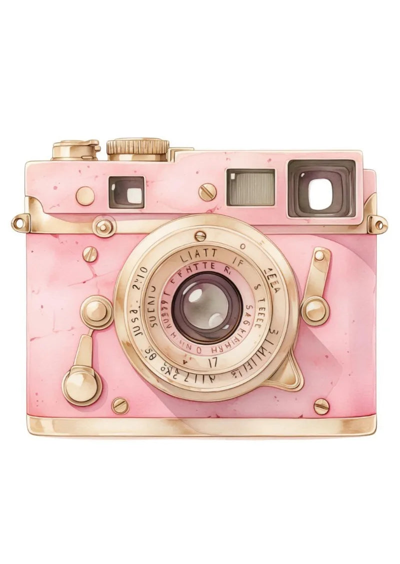 Pink Aesthetic Elegant Vintage Feminine Chic Bow-knot Art Poster Canvas Painting Wall Prints Picture for Living Room Home Decor