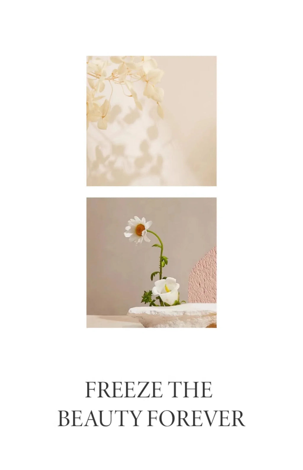 Cute Pattern Ceramic Plates Print Round Deep Tableware