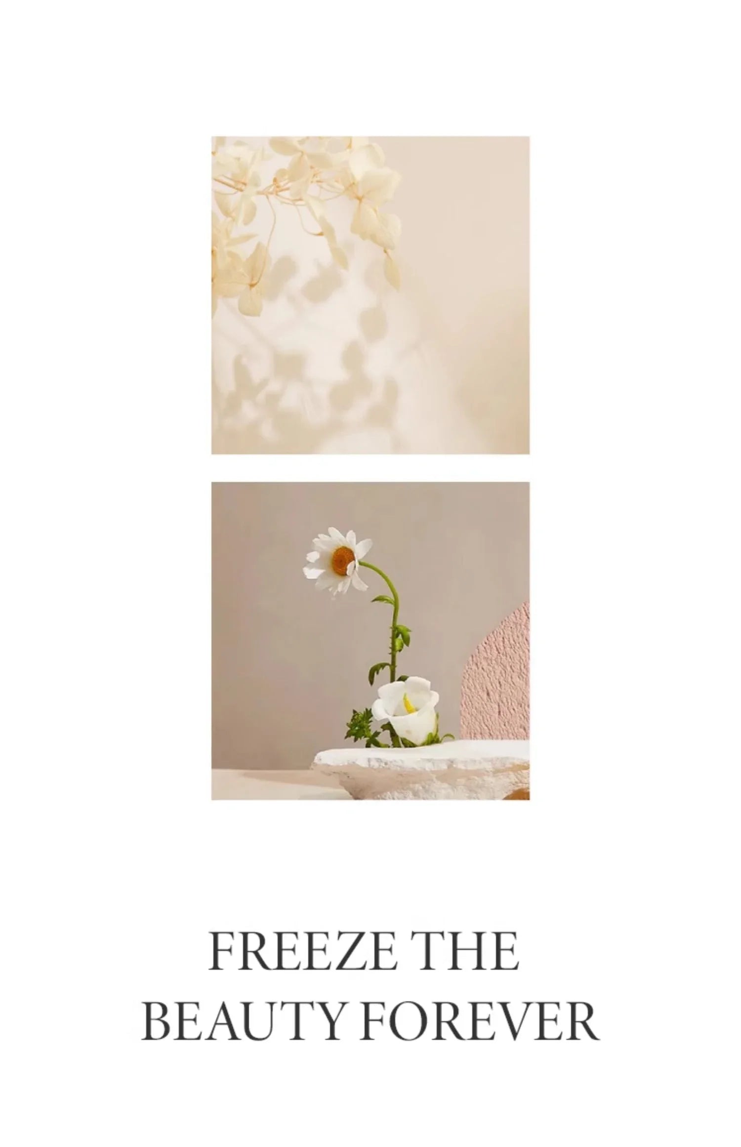 Cute Pattern Ceramic Plates Print Round Deep Tableware