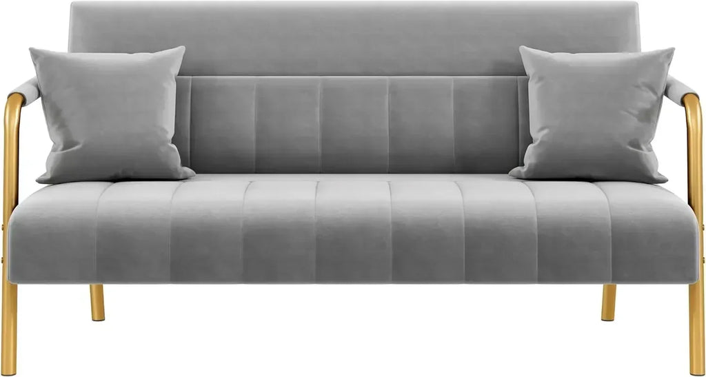 Modern Loveseat 2 Seater Sofa Luxurious Velvet Fabric Couch with Gold-Tone Metal Arms and Legs for Bedroom, Studio Pink 56.5" W
