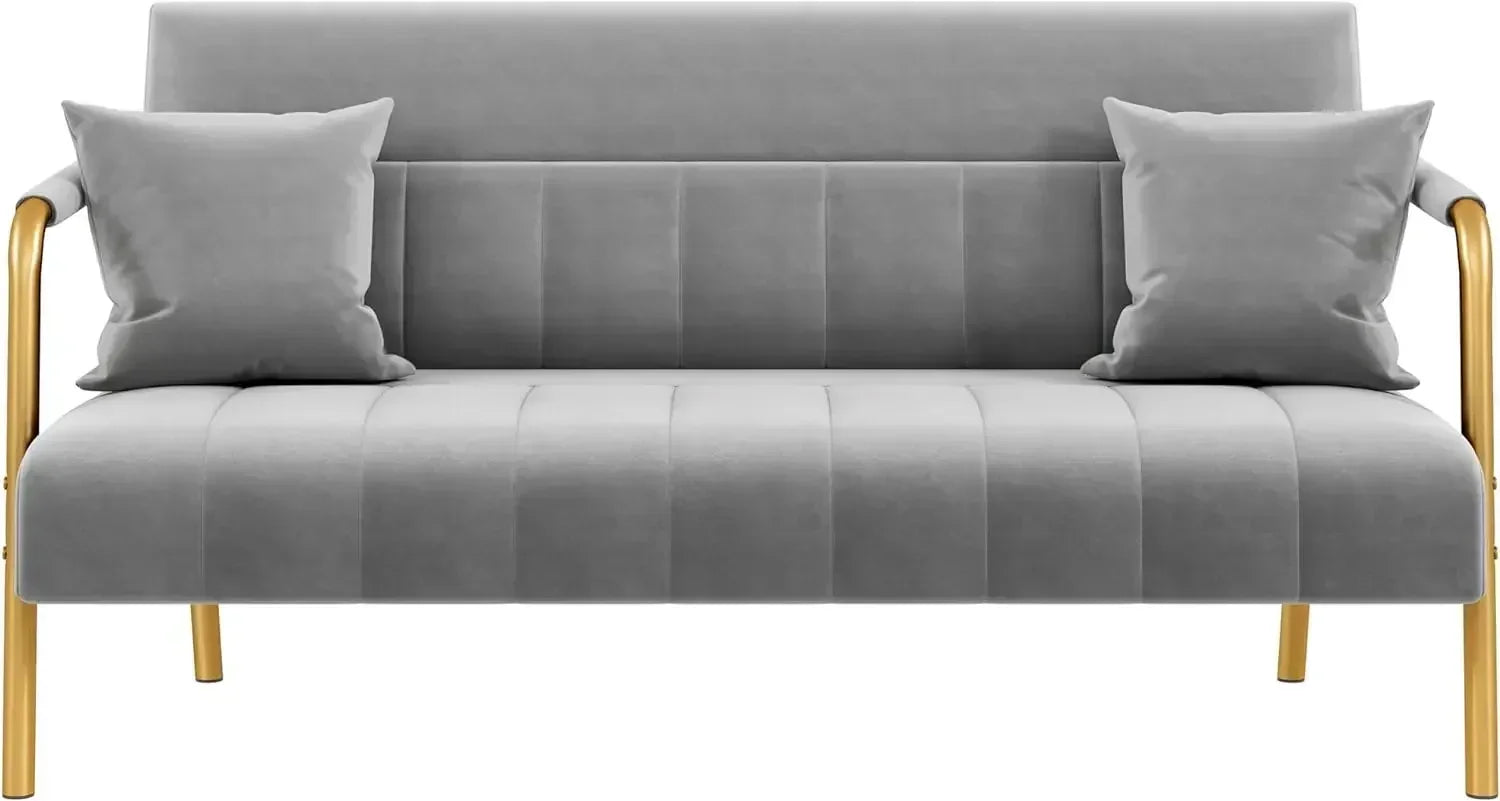 Modern Loveseat 2 Seater Sofa Luxurious Velvet Fabric Couch with Gold-Tone Metal Arms and Legs for Bedroom, Studio Pink 56.5" W