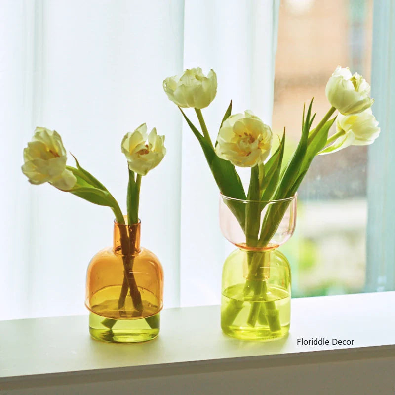 Set Mini Vases Terrarium Hydroponic Plant Pot Glass Vase