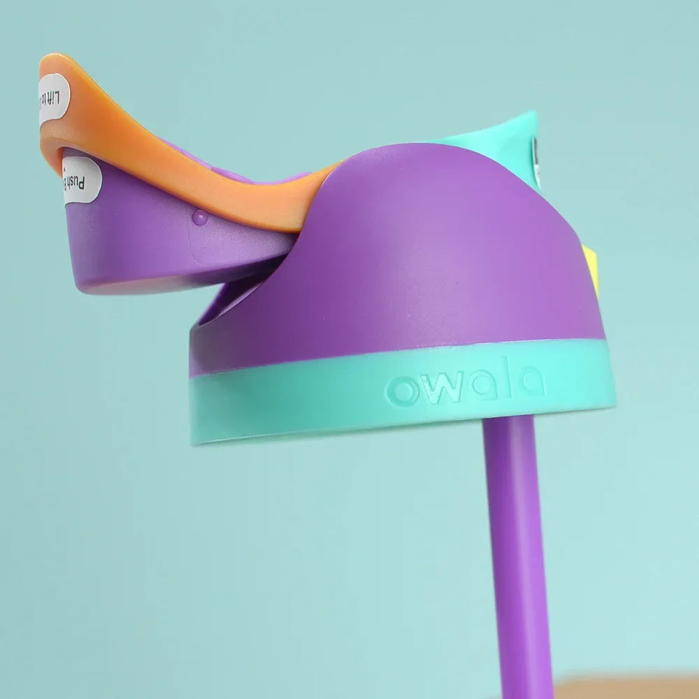 Insulated Stainless Steel  Cup Water Bottle with Straw, BPA-Free Sports Water Bottle, Great for Travel 32 Oz