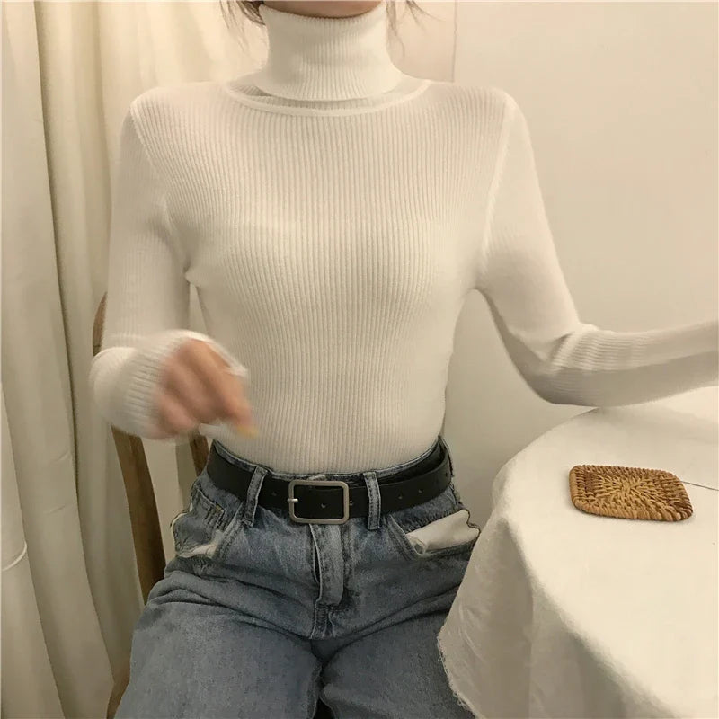 Women Fall Turtleneck Sweater Knitted Soft Pullovers Cashmere Jumpers Basic Soft Sweaters For Women Autumn Winter