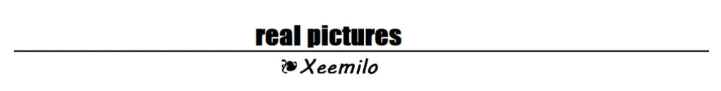 Tight Solid Elegant Off Shoulder Ribbed Crop Tops Summer Fashion Casual Skinny Long Sleeve Camisole